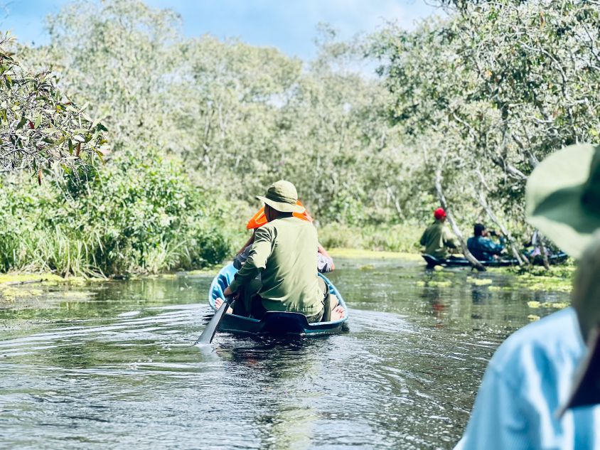 The water has a characteristic color created by mud and cajuput leaves in U Minh Ha National Park. Photo: An Le