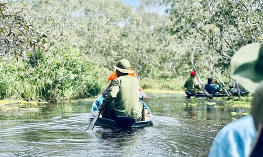 Làn nước có màu đặc trưng do than bùn và lá tràm tạo ra trong Vườn Quốc gia U Minh Hạ. Ảnh: An Lê