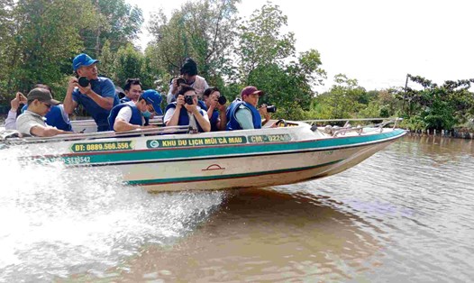 Du khách tham quan xuyên rừng Mũi Cà Mau. Ảnh: Nhật Hồ