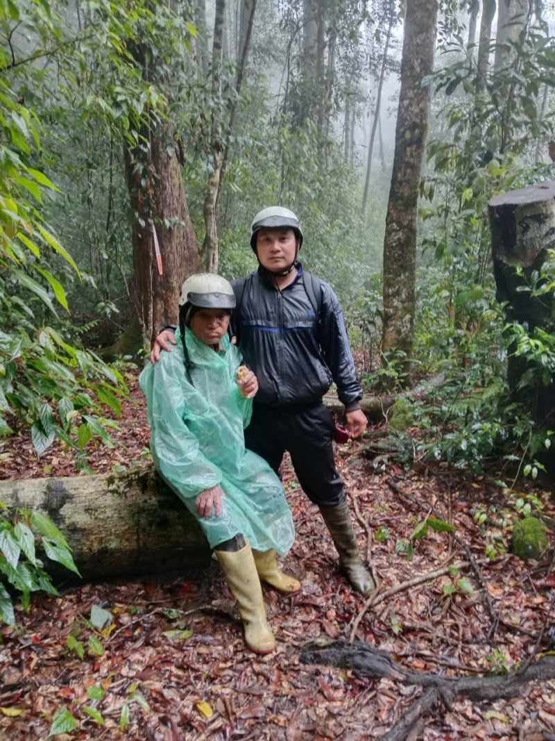 Cu ong duoc tim thay trong tinh trang suy yeu do nhieu ngay doi, ret trong rung. Anh: Lam Hong