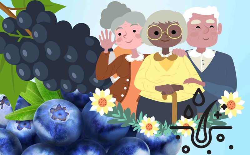 2 types of fruit that you should eat regularly to prevent premature gray hair