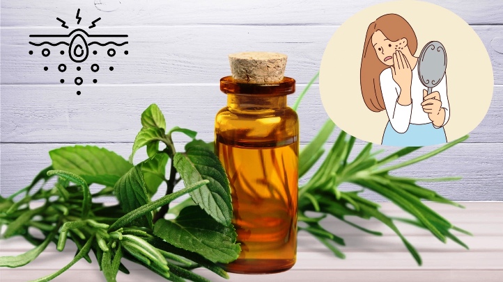 Tam biet mun trong mua mua voi huyet thanh tram tra tu che. Do hoa: Minh Hoang