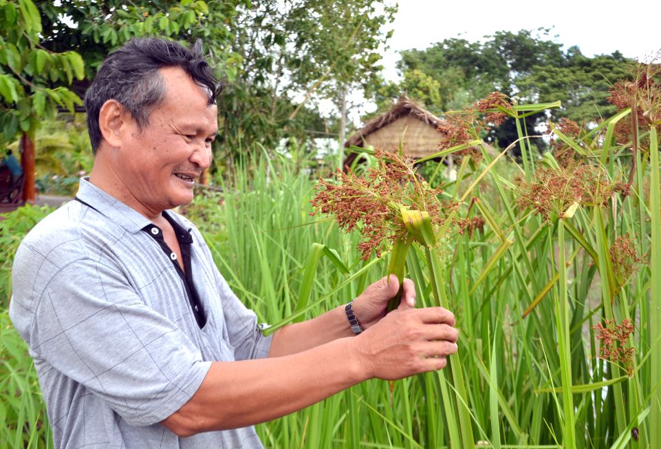 Ky su Le Quoc Viet, tac gia “Thuong lam lua mua oi“. Anh: Lam Dien