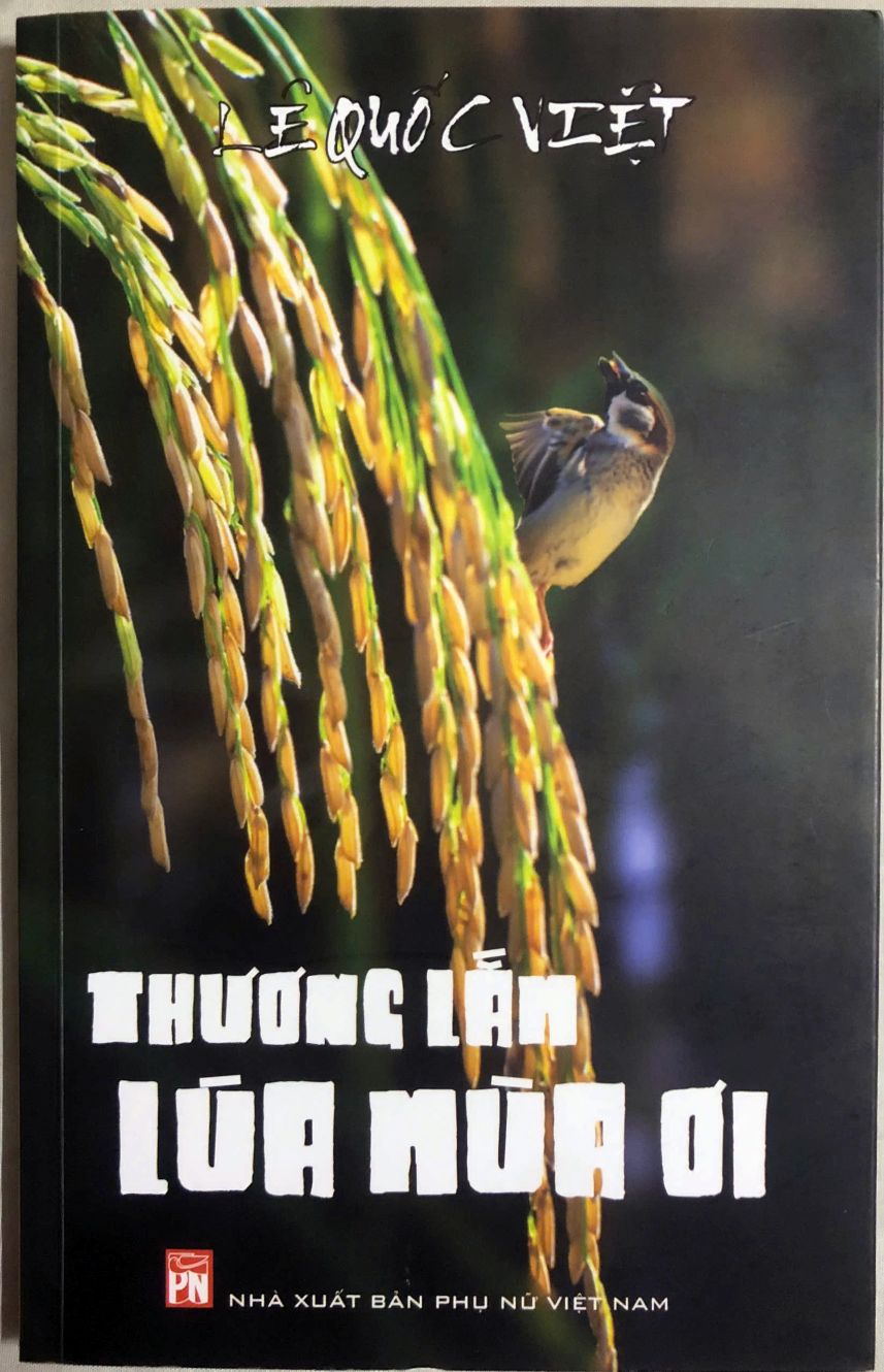“Thuong lam lua mua oi” duoc xem nhu noi luu giu ky uc ve mien Tay mot thoi xanh muot nhung gia tri truyen thong. Anh: Lam Dien