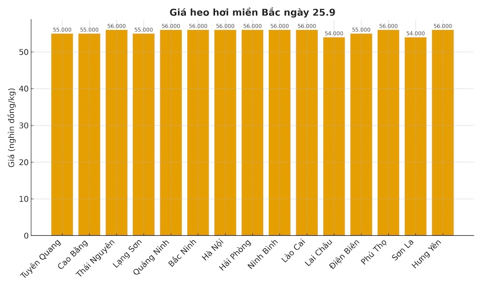Gia heo hoi hom nay 25.9 tai mien Bac. Do hoa: Thuy Linh 
