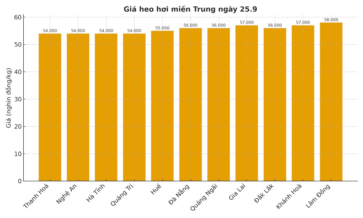 Gia heo hoi hom nay 25.9 tai mien Trung. Do hoa: Thuy Linh 