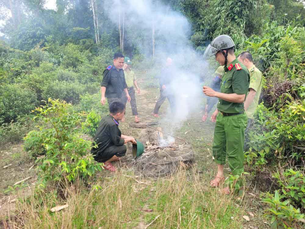 Tiêu hủy nhiều bẫy chim trong rừng phòng hộ