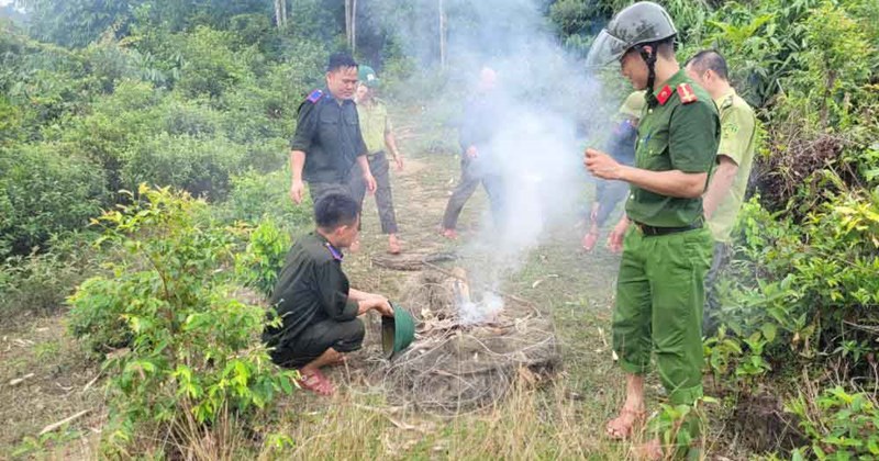 Tiêu hủy nhiều bẫy chim trong rừng phòng hộ
