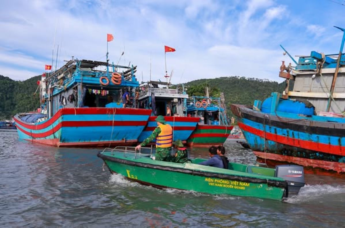Cat Hai khong con phuong tien hoat dong tren bien truoc bao so 9. 