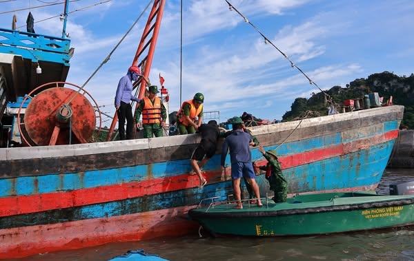 In Cat Hai area, there are no longer urban activities on the island in the face of the storm of the 9 cities. Photo: Cat Hai - Hai Phong Economic Zone Center