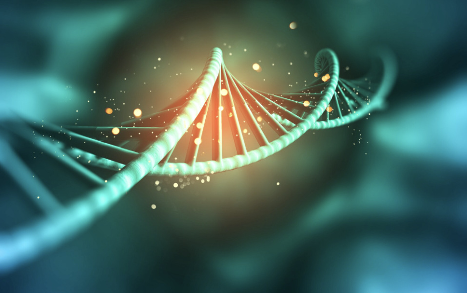 Methode de soins de la peau a partir de l'ADN de poisson. Photo : Thuy Duong