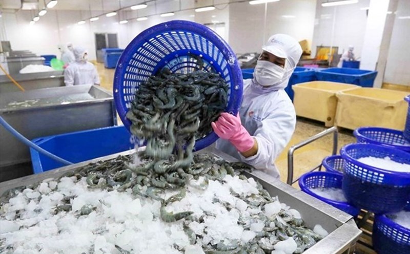 The SBV increased the credit scale for the agriculture, forestry and fishery sector to VND185,000 billion. Photo: VASEP
