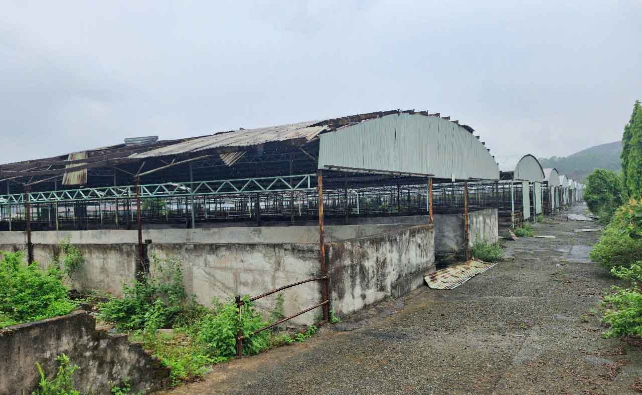 Hàng loạt chuồng trại vẫn bỏ không ở Dự án chăn nuôi bò và trồng cây nguyên liệu của Công ty CP Chăn nuôi Bình Hà tại Hà Tĩnh. Ảnh: Trần Tuấn.