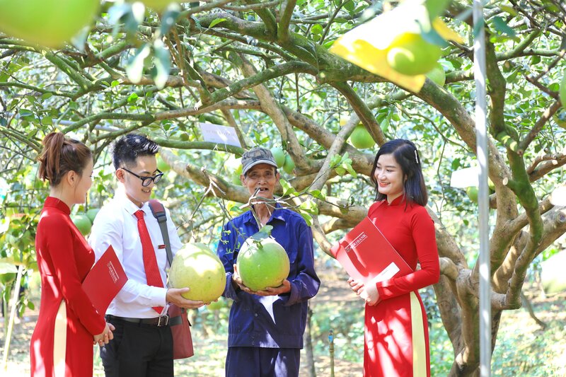 Agribank đang tích cực triển khai các chương trình tín dụng ưu đãi cho tiêu dùng bền vững.