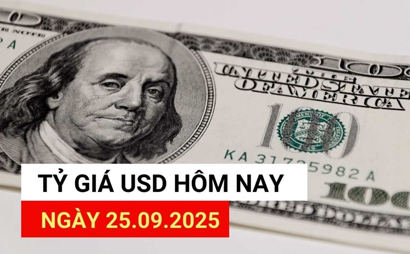 USD exchange rate today, September 25: Reasons for the USD's increase
