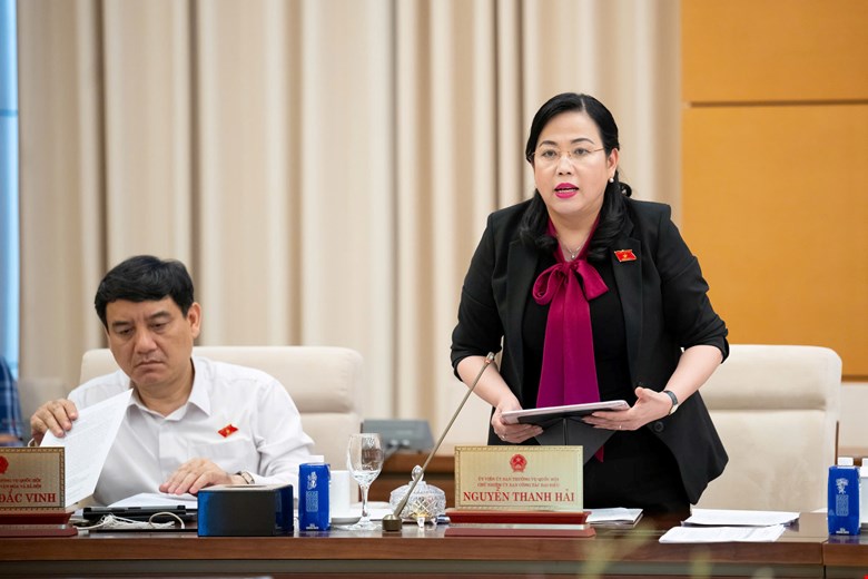 Chu nhiem Uy ban Cong tac dai bieu Quoc hoi Nguyen Thanh Hai. Anh: Quochoi.vn