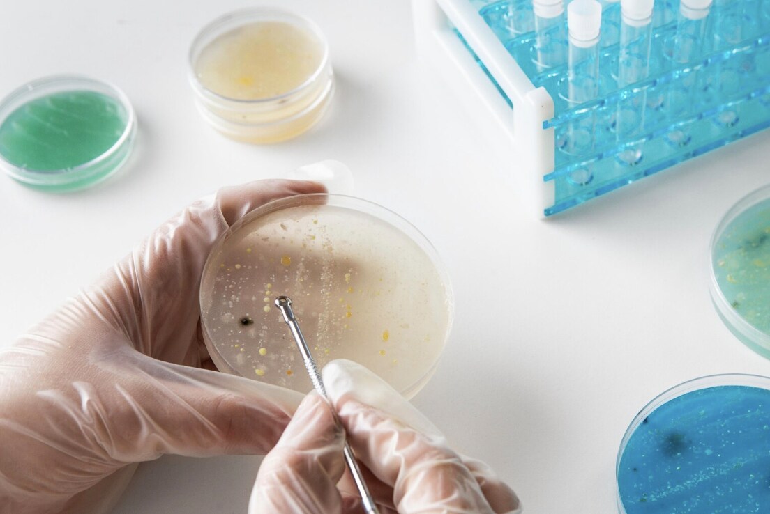 What are nightmare bacteria and why are they a concern? Photo: Thuy Duong
