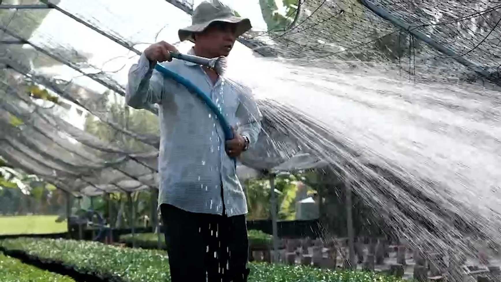 Cac ho nong dan lam nghe uom cay giong tai TP Can Tho dang tat bat san xuat, phuc vu thi truong cuoi nam. Anh: Han Nghien