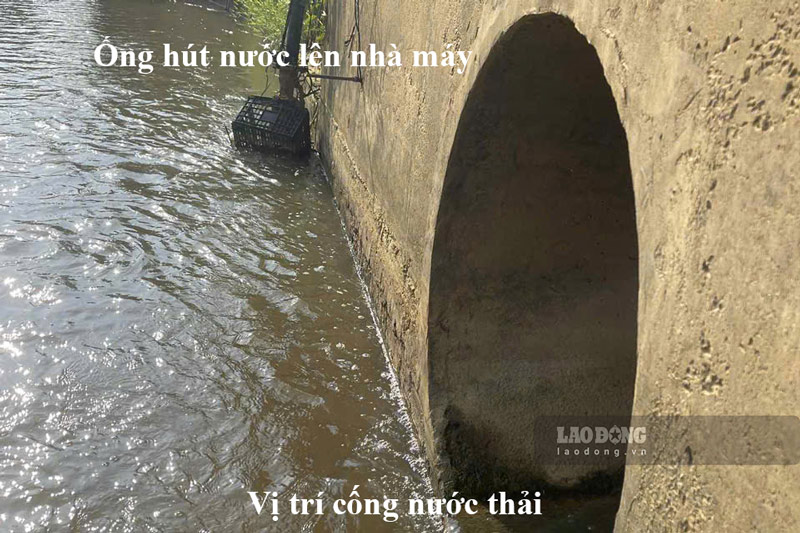 Vị trí hút nước cạnh cống thải. Ảnh: Đinh Đại