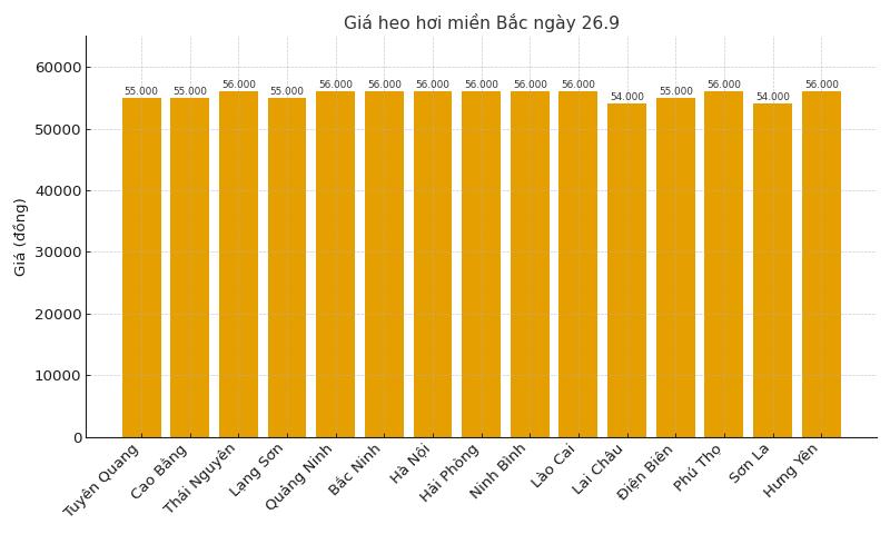 Gia heo hoi hom nay 26.9 tai mien Bac. Do hoa: Thuy Linh