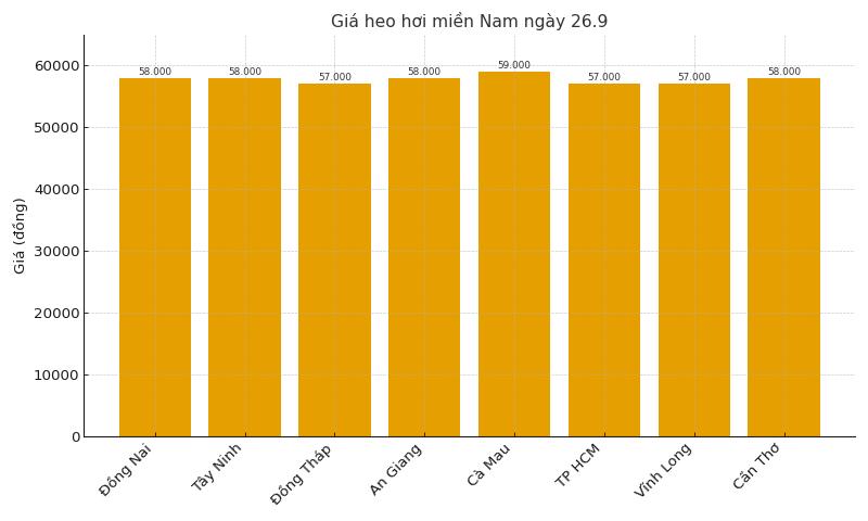 Gia heo hoi hom nay 26.9 tai mien Nam. Do hoa: Thuy Linh.