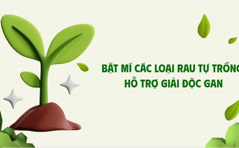 Revealing self-growing vegetables that help detoxify the liver