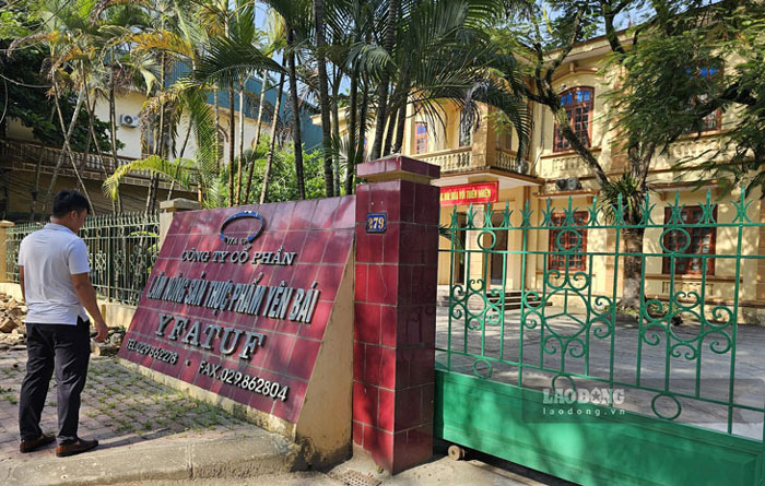 Yen Bai Food Agricultural Products Joint Stock Company (Lao CAI) est connu pour se specialiser dans la production et l'exportation des exportations votives. Photo: bao nguyen