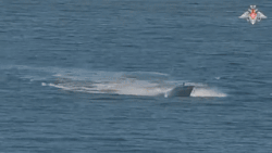 Voiture sans pilote ukrainienne detruite par la flotte russe de la mer Noire. Photo : Ministere russe de la Defense
