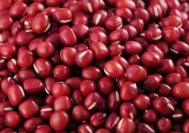 Red beans are one of the effective sources of calcium supplementation for children. Photo: Kieu Vu