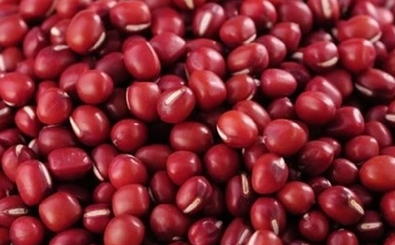 Red beans are one of the effective sources of calcium supplementation for children. Photo: Kieu Vu