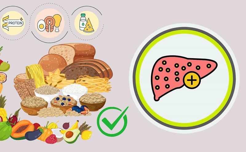 We should adjust our diet to be good for the liver. Graphics: Ha May