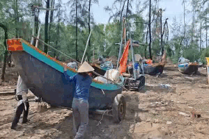 Ha Tinh fishermen hired tractors to bring their boats ashore to avoid storm No. 10. Photo: Tran Tuan