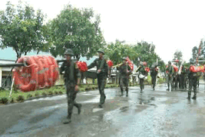Quang Tri armed forces help people harvest rice before storm No. 10. Photo: Xuan Dien