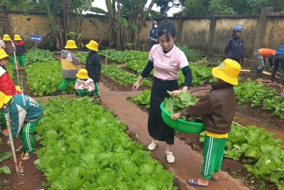 She and her students in Lam Dong participate in harvesting in the vegetable garden. Photo: Bao Lam