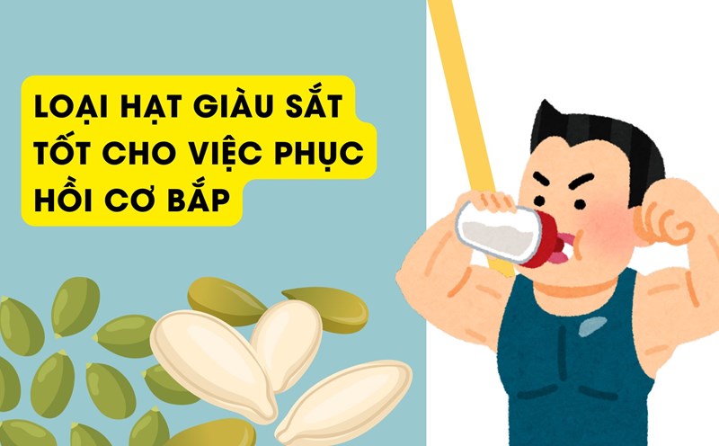 Iron is not only important for the production of pangasius, pumpkin seeds help transfer oxygen to muscles. Graphic photo: Huong Son