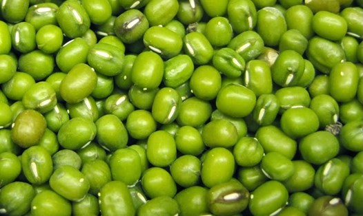 Giải độc gan tự nhiên bằng đậu xanh có hiệu quả khi sử dụng đúng cách. Ảnh: Kiều Vũ