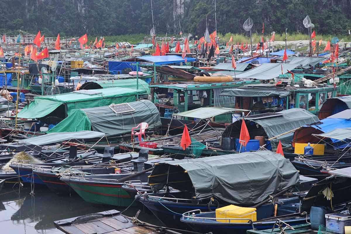 Tau thuyen dang neo dau tai noi tranh tru bao, cang ca Cai Xa Cong, phuong Ha Tu, tinh Quang Ninh. Anh: Doan Hung