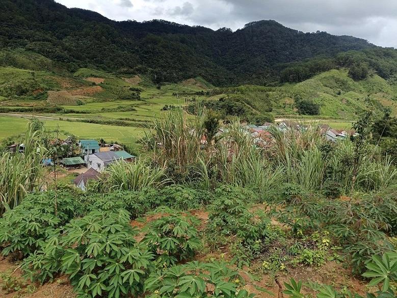 The crack directly threatens 12 households with more than 50 people living at the foot of the hill in Rooc Met village, Dak Plo commune, Quang Ngai province. Photo: Dak Plo Commune People's Committee