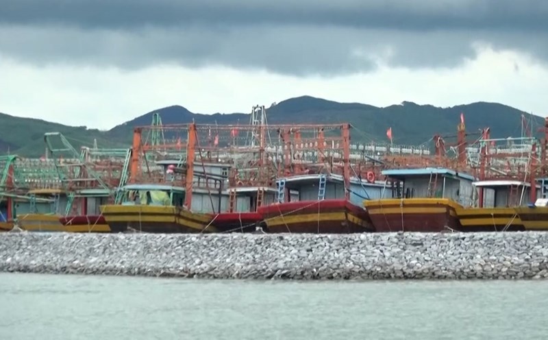4 captains were fined nearly VND877 million for IUU violations. Photo: Hoai Nam