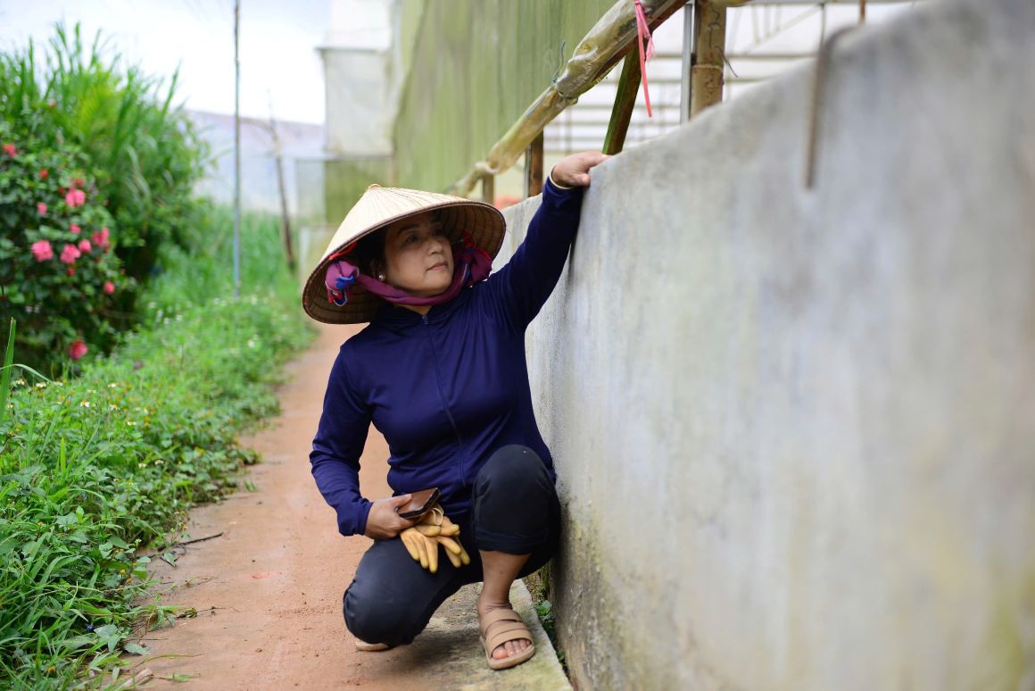 People built walls to prevent water from overflowing, causing flooding and damage to production. Photo: Phuc Khanh