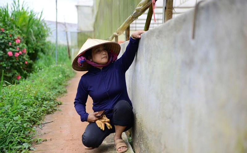 People built walls to prevent water from overflowing, causing flooding and damage to production. Photo: Phuc Khanh