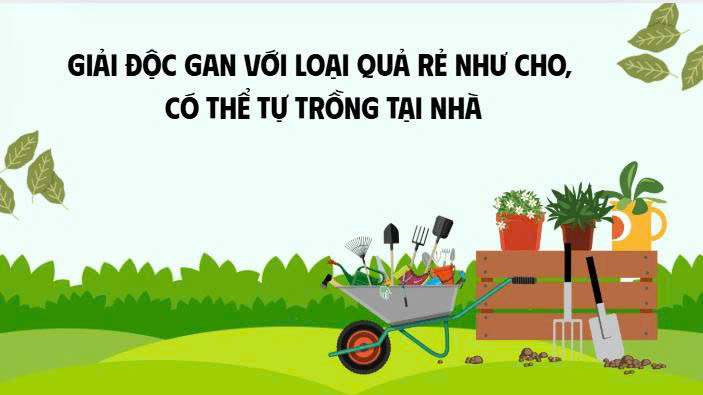Detoxiquer le foie avec un fruit aussi bon marche que le chou qui peut etre cultive a la maison