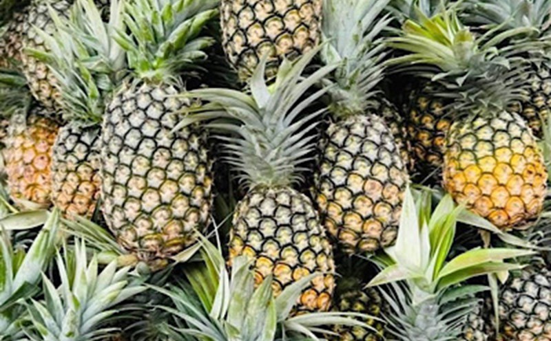 Pineapple is one of the fruits that are said to support kidney nutrition. Photo: Kieu Vu