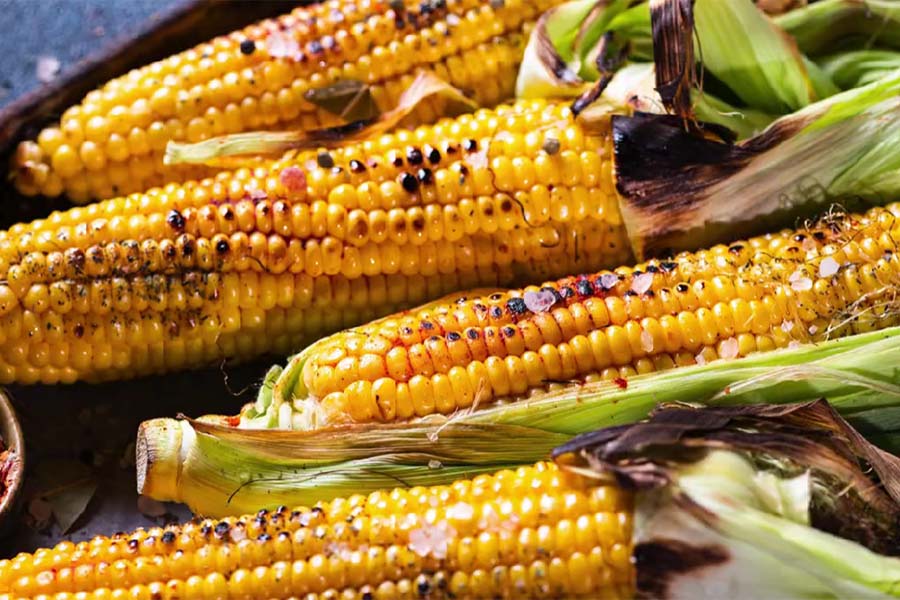 ゴウは非常に栄養価が高いですが、後者は食べるのを控えています。