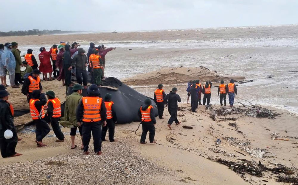 Forces gathered on the coast, deploying a rescue plan for fishermen on the two fishing boats in distress. Photo: Quang Tri Border Guard