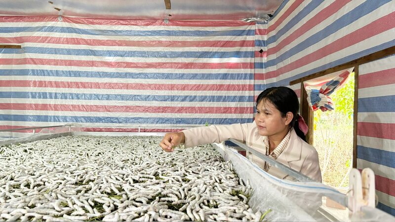 La Sra. Ko Lieng K’On - Vicepresidenta de la Asociacion de Agricultores de la comuna de Dam Rong 4 (provincia de Lam Dong) - pionera en llevar el cultivo de dau y tam a la aldea de Cheng. Foto: Do Lam