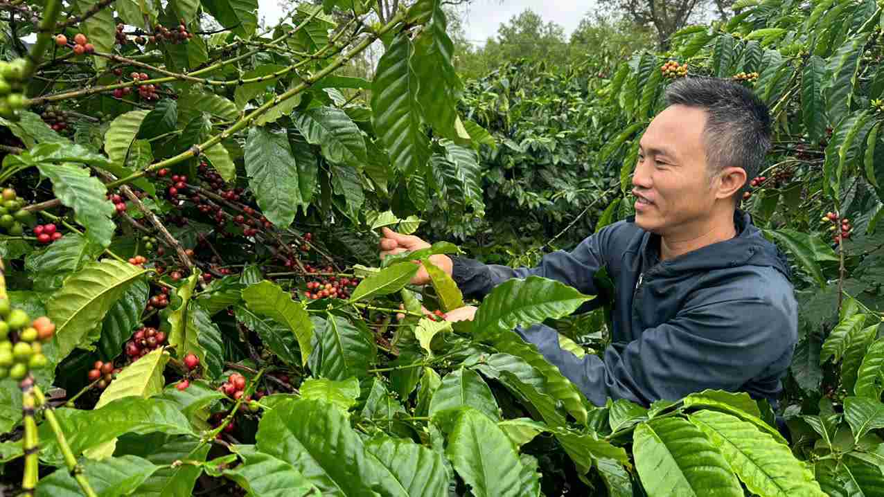 The authorities of M'Dak district, Dak Lak always allocate many resources to hunger eradication and poverty reduction in ethnic minority areas, while people work hard. Photo: Bao Lam