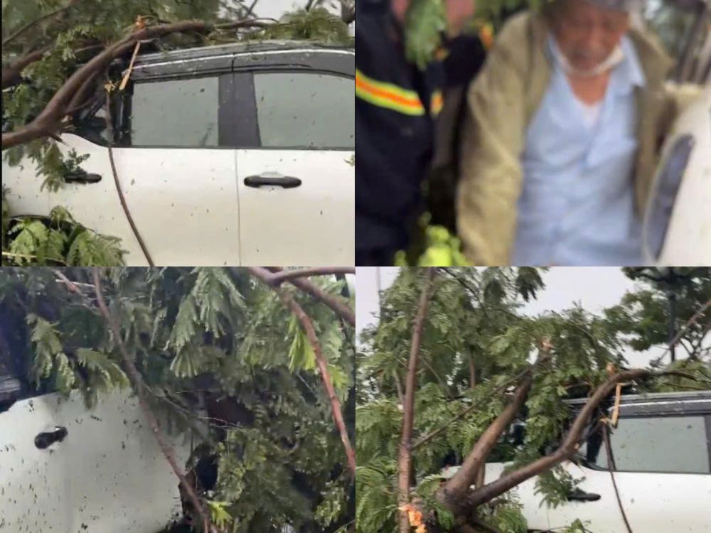 A tree suddenly fell and crushed a car in Da Nang, 6 people trapped were rescued. Photo: Functional force