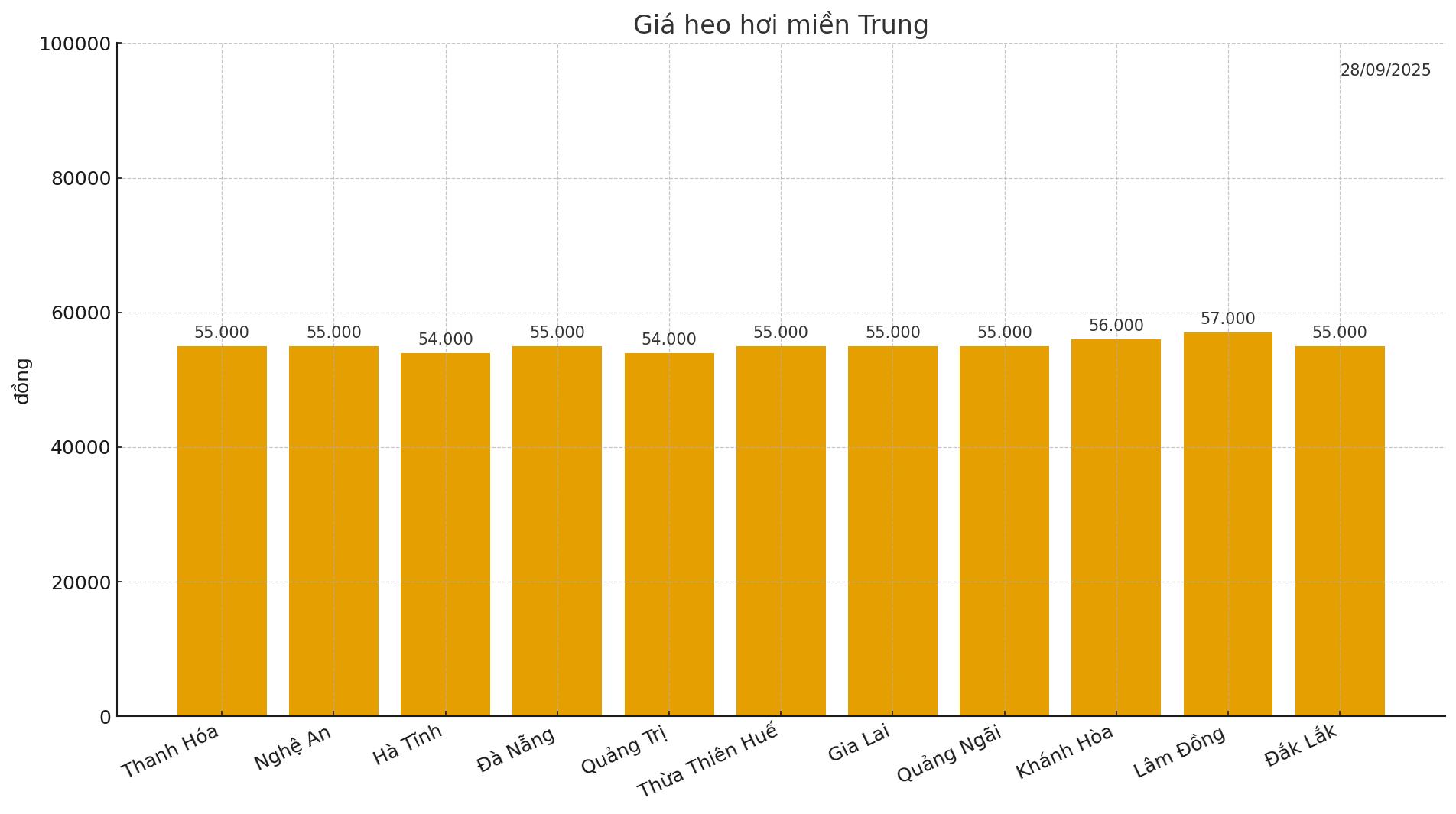 Gia heo hoi hom nay 28.9 o mien Trung. Do hoa: Thuy Linh