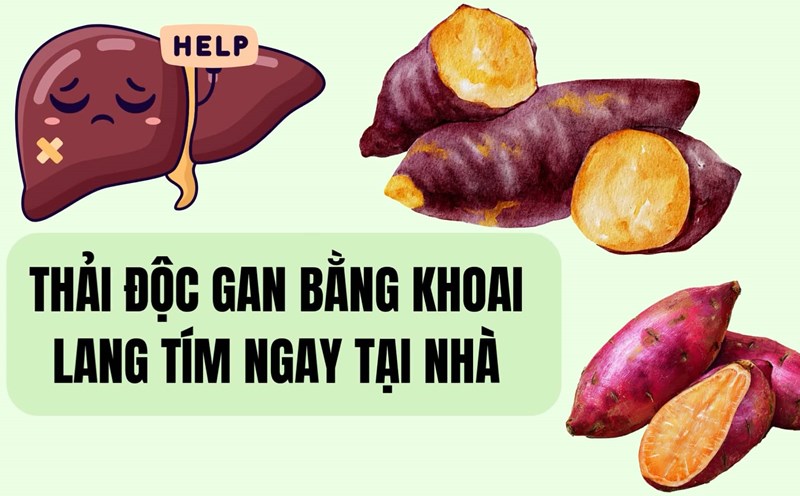 Tips on how to detoxify the liver with purple sweet potatoes right at home